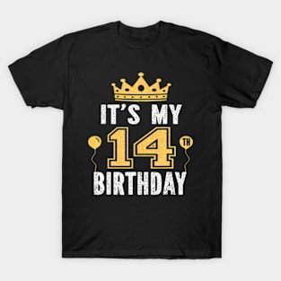 Its My 14Th Birthday 14 Years Old Boys And Girls T-Shirt